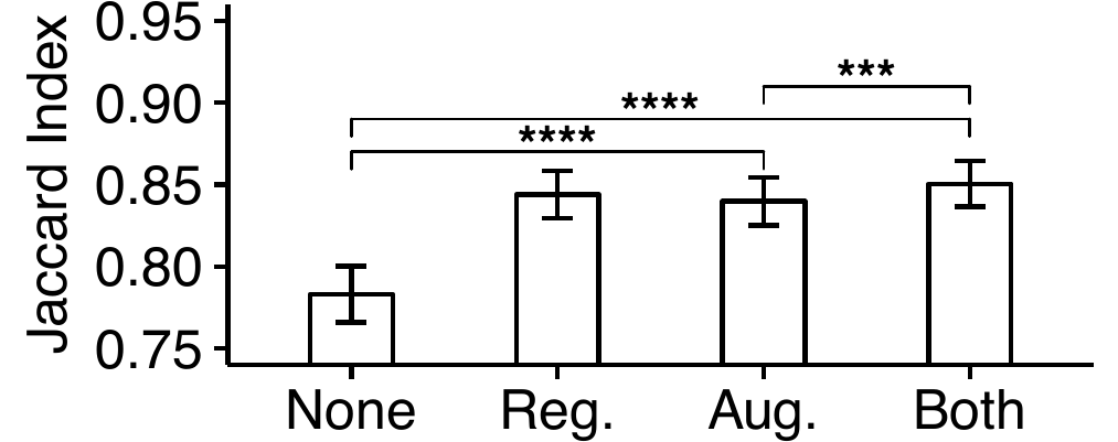 Evaluation of segmentation results. The groups None, Reg., Aug., and Both represent the trials with no augmentations or regularization, with the connectivity-based regularization, with augmentations, and with both augmentations and regularization, respectively. The groups were quantified using the Jaccard index and compared using a paired Student’s t-test. (\star\star\star indicates p < 0.001 and \star\star\star\star indicates p < 0.0001) 